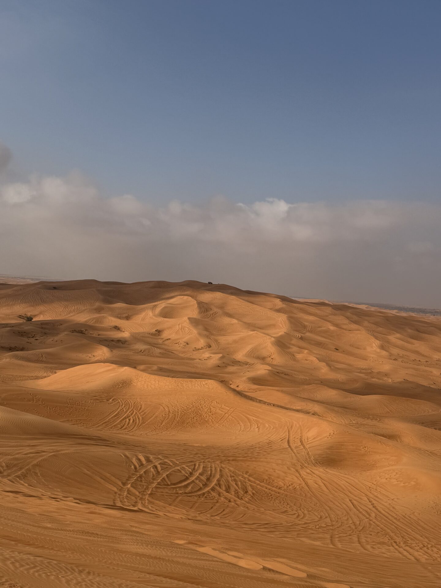 Morning desert safari in Dubai