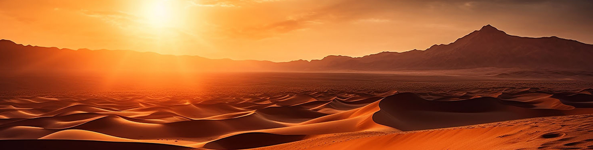 Вечернее джип-сафари